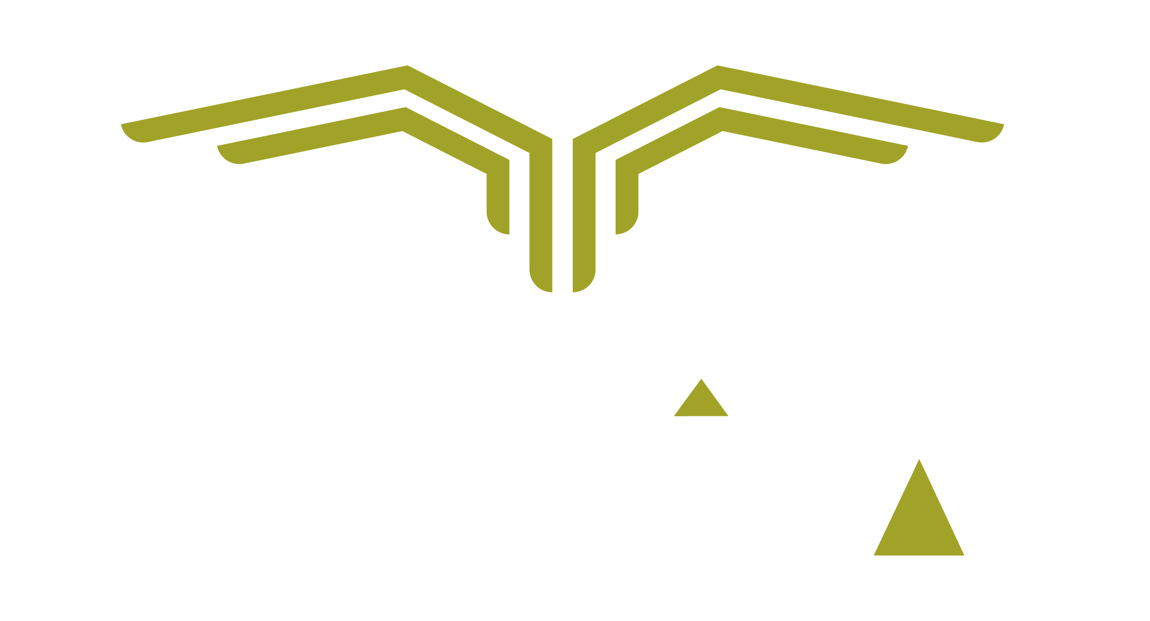 Logo Nova Company